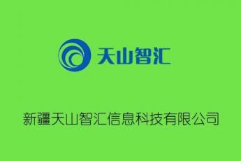 新疆天山智汇信息科技有限公司